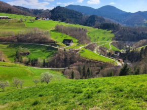 moosblick